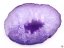 Achátový plát fialový velikost 7 - 11 cm Top kvalita #NV446