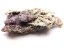 Achát hroznový - grape agate 168 g #A132