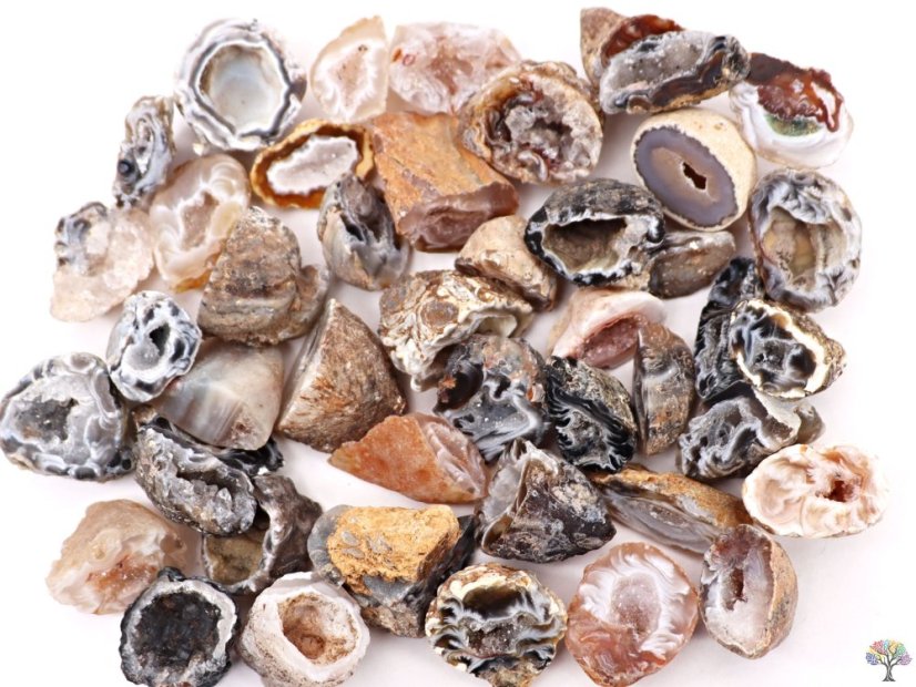 Achát peříčkový 2 - 3 cm přírodní geoda #ZB76