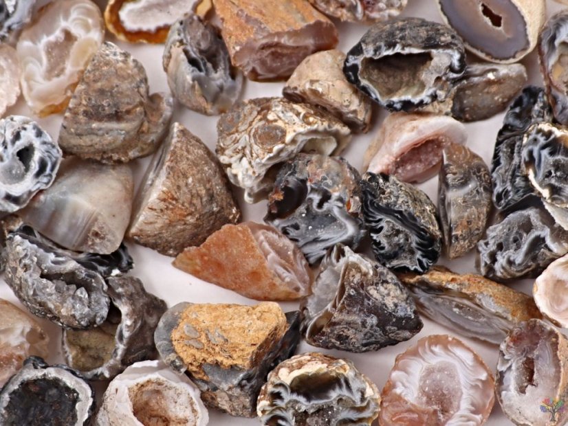 Achát peříčkový 2 - 3 cm přírodní geoda #ZB76