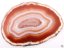 Achátový plát červený velikost 7 - 11 cm Top kvalita #NV450